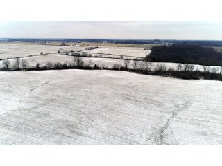 Property photo 4 - LAND AUCTION - 230+/- ACRES IN 5 TRACTS IN WAYNE COUNTY, INDIANA